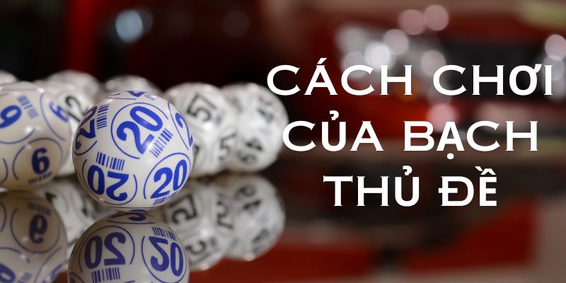 Bạch thủ đề - Cách chơi đơn giản mang về hiệu quả tối ưu