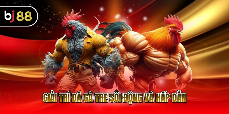 Giải trí đá gà tre sôi động và hấp dẫn